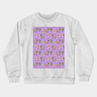 Chihuahua chihuahuas - lilac Crewneck Sweatshirt